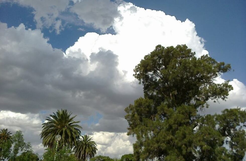 Cómo va a estar el clima en Bahía Blanca el fin de semana