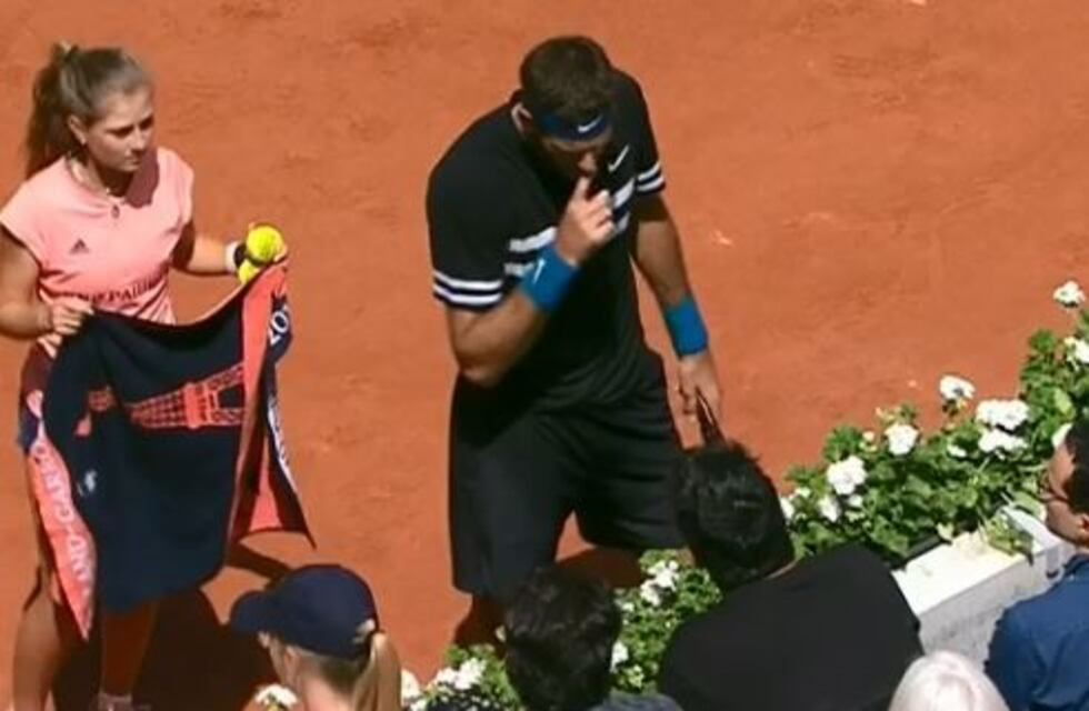 El enojo de Del Potro con un hincha al que increpó en pleno partido
