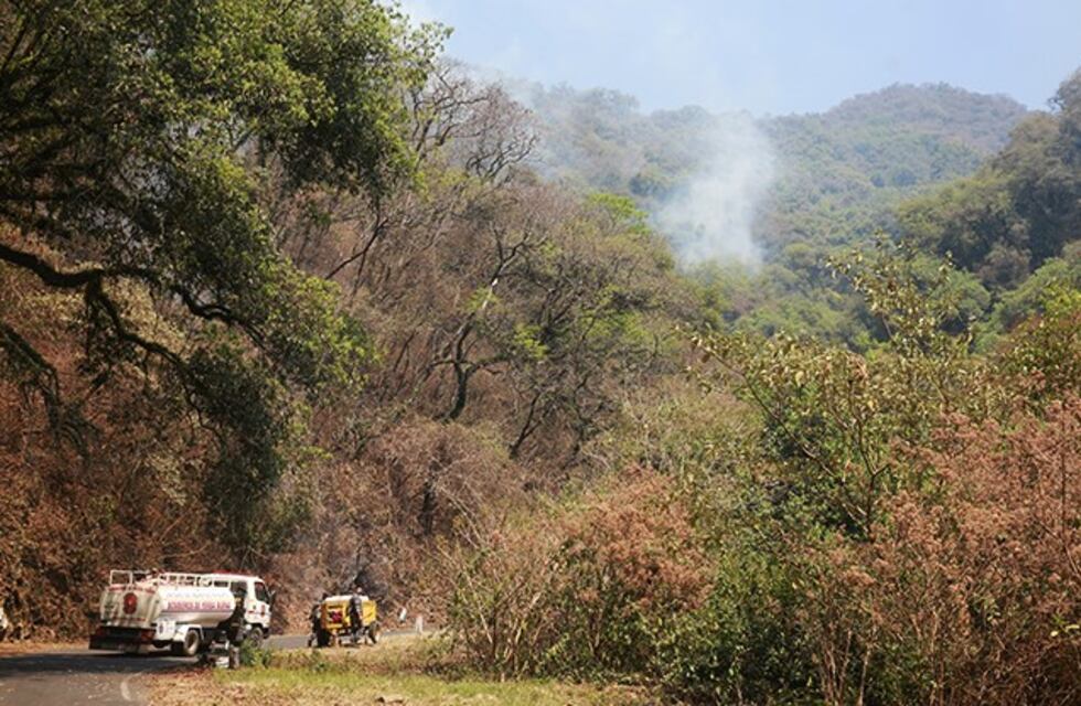 San Javier: comenzaron los relevamientos sobre flora y fauna luego de los incendios