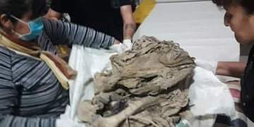 Las piezas encontradas fueron llevadas al Museo del Hombre\u002E