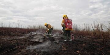 Arduo trabajo de brigadistas para combatir los incendios en las islas frente a Rosario (Gobierno de Santa Fe)