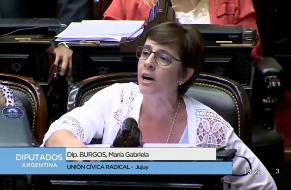 Burgos pidió a la oposición que "se sincere" en el tema barras bravas