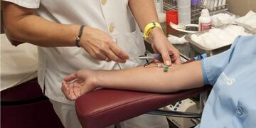 Donación de médula ósea (Imagen ilustrativa\u002E Web)