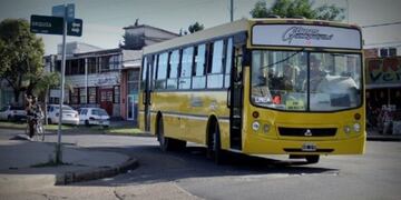 Lineas transporte urbano\nCrédito: Web