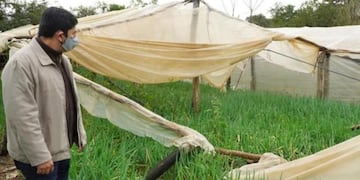 Gobernador Roca: entregan insumos a productores de damnificados por el temporal