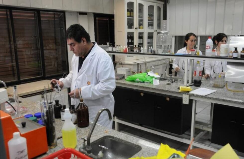 El 70% de inspecciones en edificios municipales arrojó problemas de higiene y seguridad