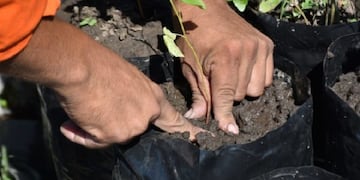 Municipalidad de Tafí Viejo\u002E