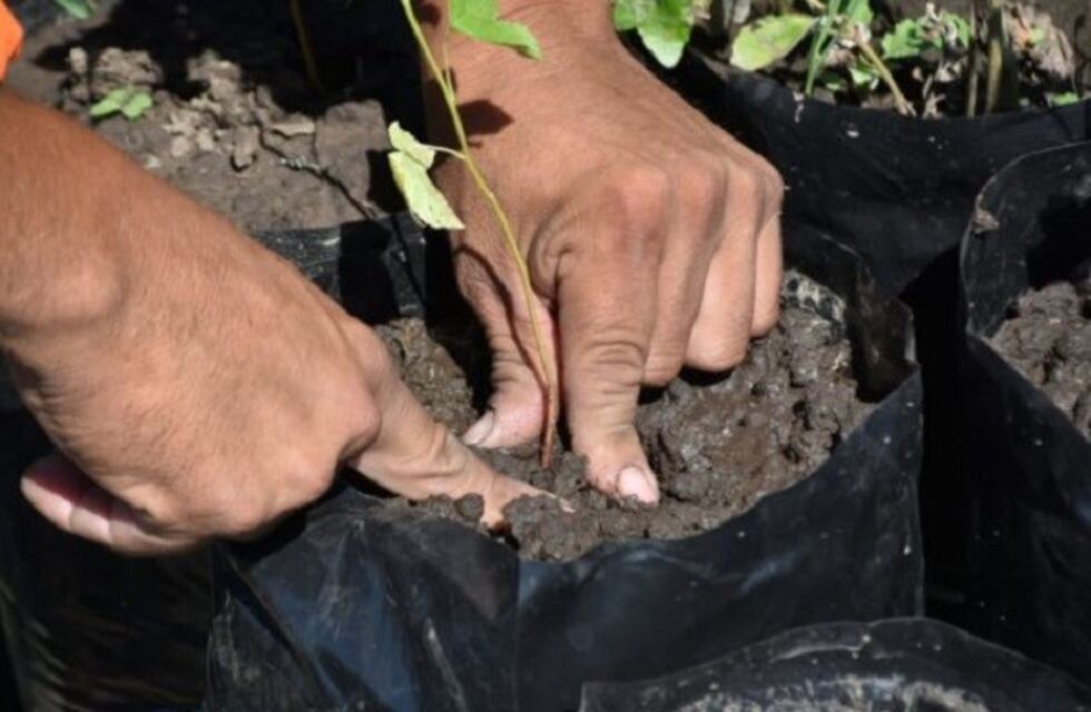 Tafí Viejo: construirán una planta industrial de compostaje