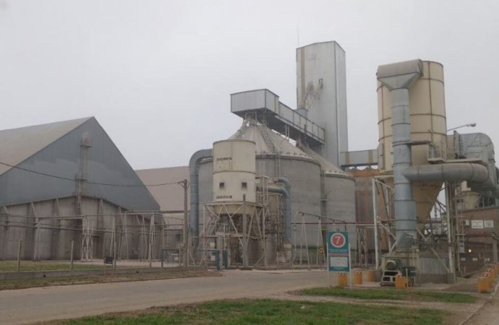 Denuncian que empresas de vigilancia hacen trabajar a mayores de 60 años en terminales portuarias