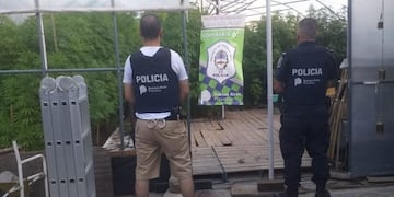Hallaron un sofisticado vivero de marihuana en una casa del barrio Los Tilos (Foto: 0223)
