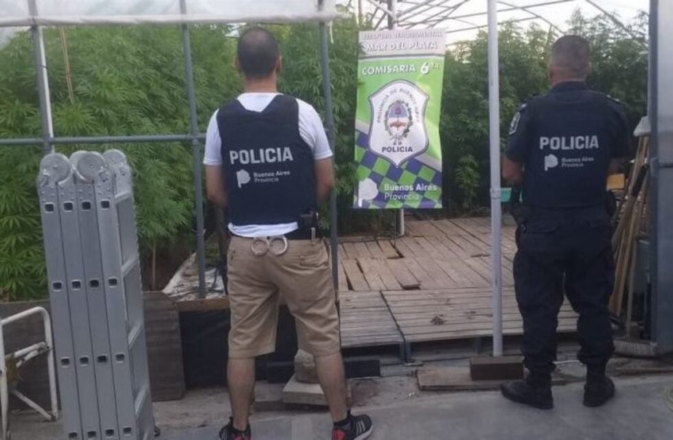 Hallaron un sofisticado vivero de marihuana en una casa del barrio Los Tilos