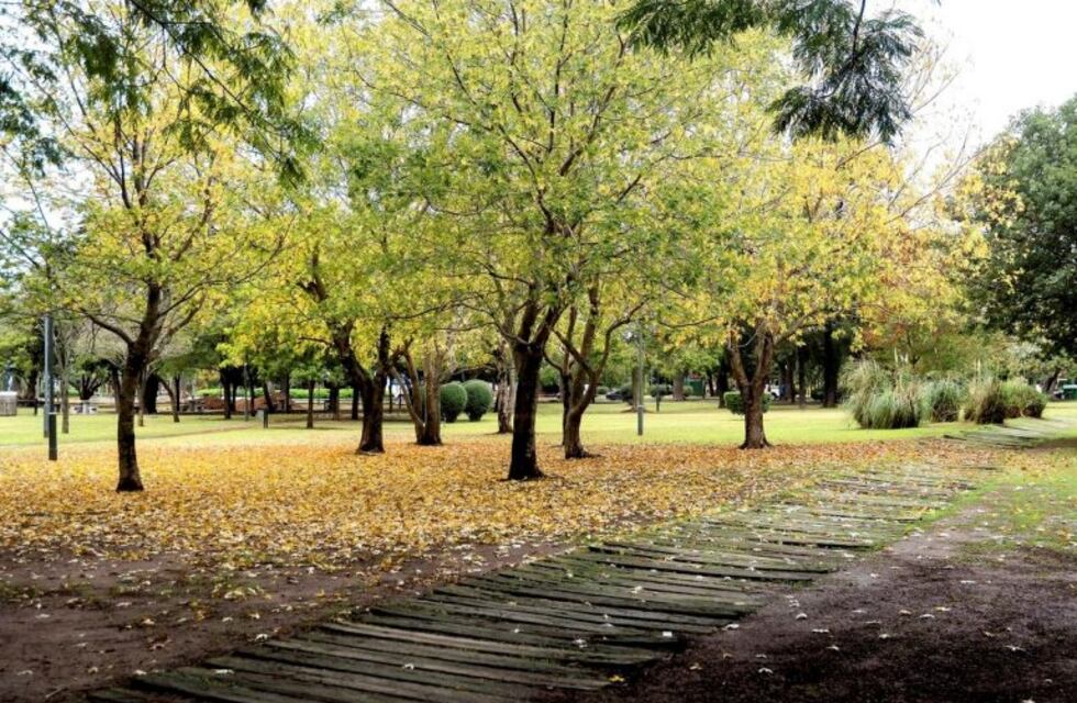 A disfrutar del finde porque para la noche del domingo se viene la lluvia