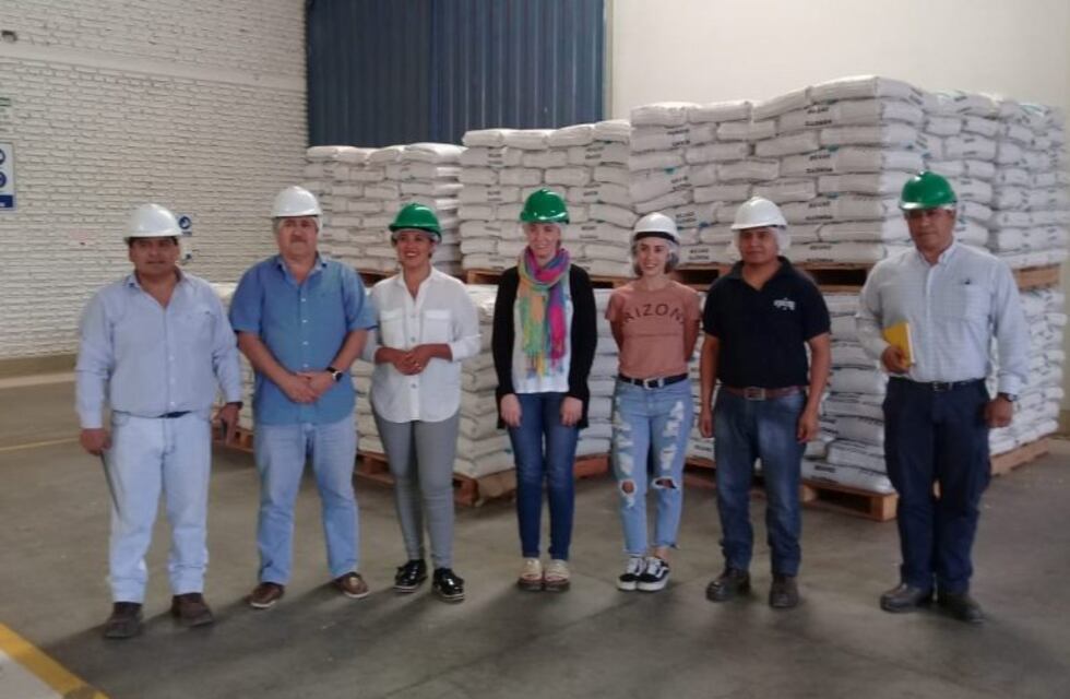 El poroto asoma como potente complemento para el tabaco y la caña de azúcar