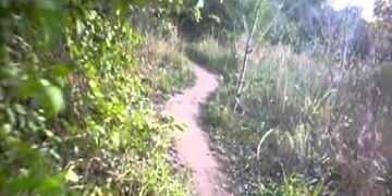 Circuito del Bosque San Francisco