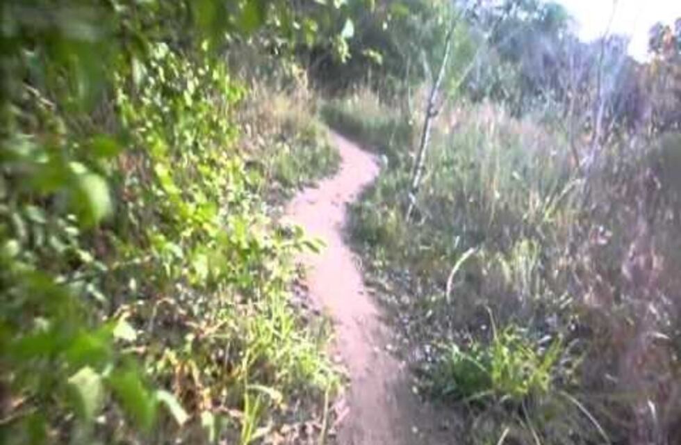 ¿Qué pasará con el Circuito del Bosque?