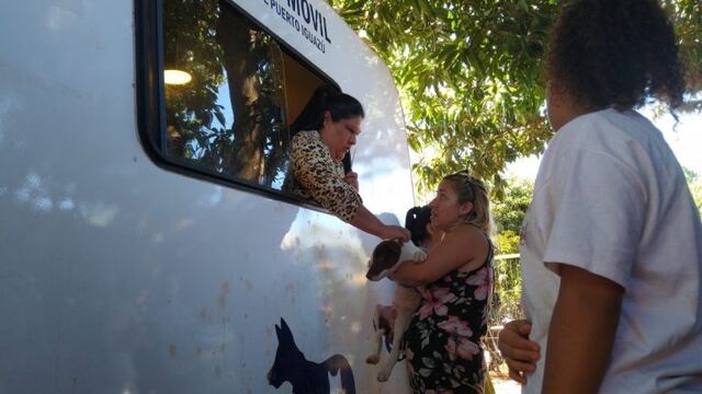 El quirófano veterinario móvil retoma las actividades