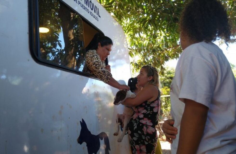 El quirófano veterinario móvil retoma las actividades