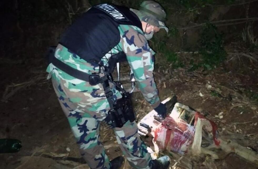 Secuestran 30 kilogramos de marihuana en Corpus