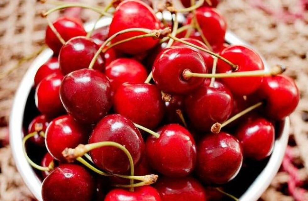 Se exportarán cerezas patagónicas a China