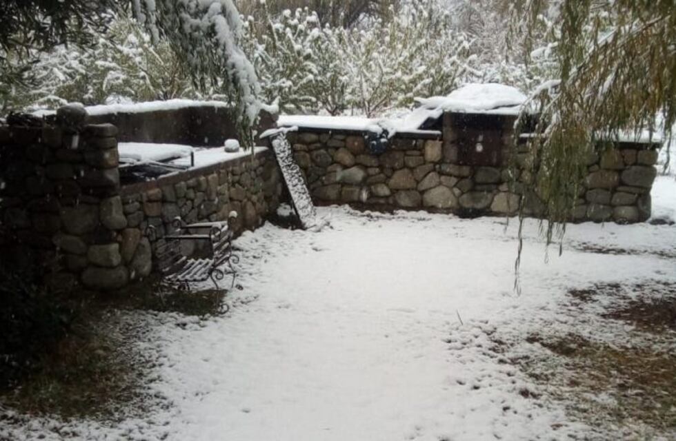 Nevó en Mendoza y dejó unas postales de película