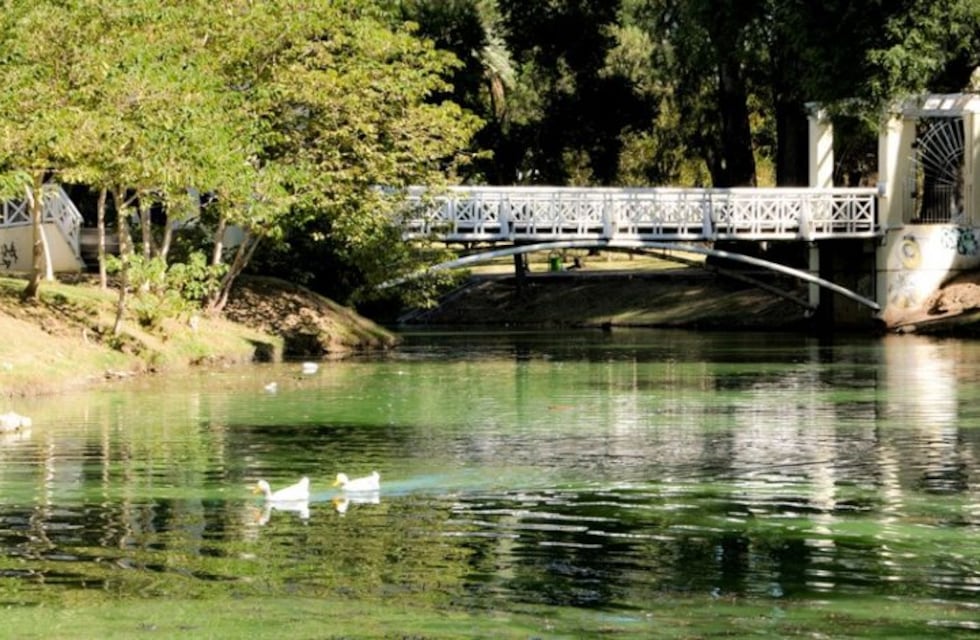 Invitan a limpiar el lago del Parque Sarmiento