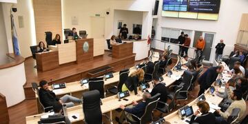 A las piñas: dos concejales se desafiaron a una pelea de boxeo