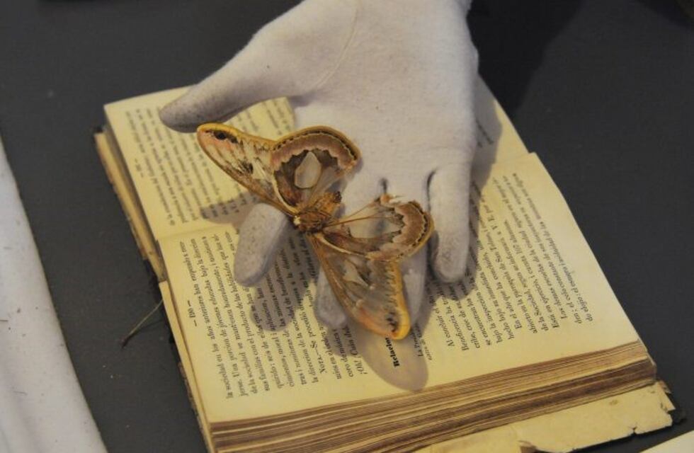 Encuentran joyas bibliográficas en Mendoza