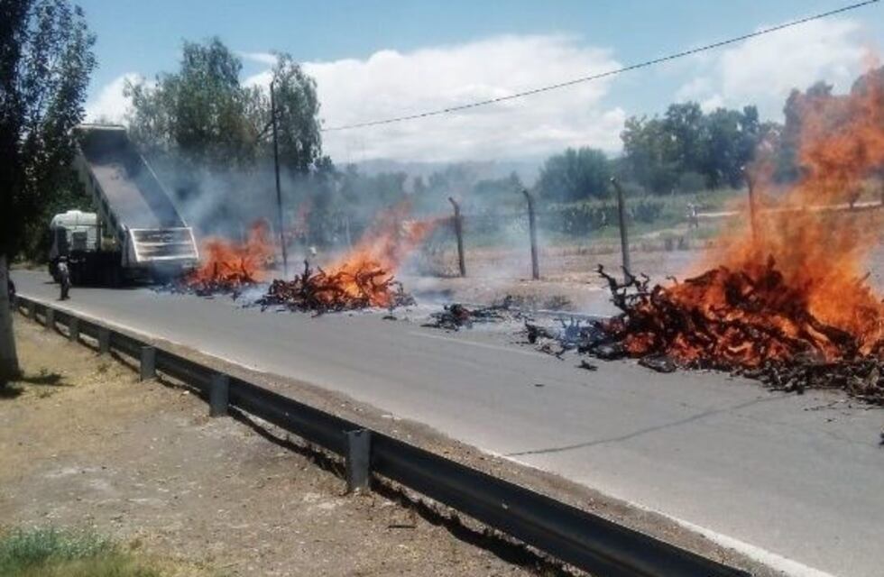 Un camión debió descargar la leña que llevaba por un incendio