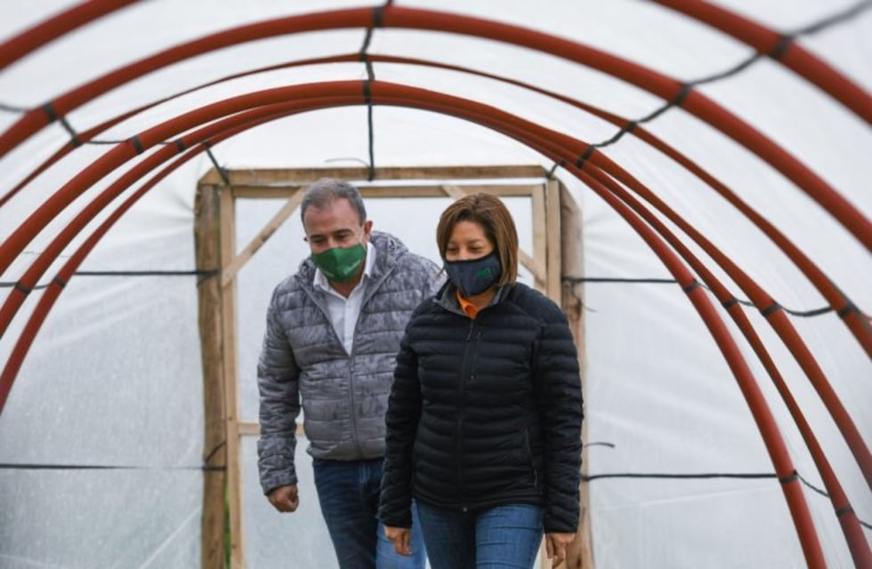 Construyen en Río Negro mil invernaderos solidarios