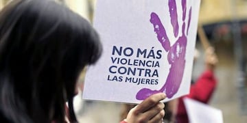 Los casos se multiplican y la situación preocupa en el Concejo\u002E (Archivo)