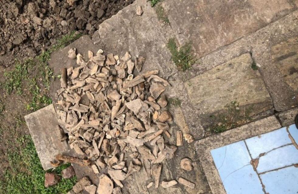 Develaron el misterio de los huesos hallados en el Juzgado Federal de Salta