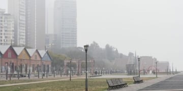 El humo generó serias molestias este viernes\u002E (La Capital)