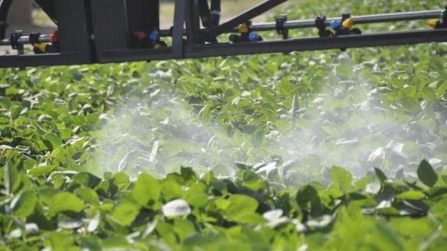 La Justicia de Entre Ríos declaró inconstitucional la prohibición del glifosato en Gualeguaychú. (Imagen ilustrativa).