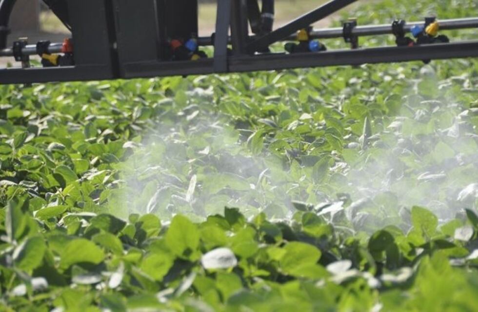 La Justicia de Entre Ríos declaró inconstitucional la prohibición del glifosato en Gualeguaychú