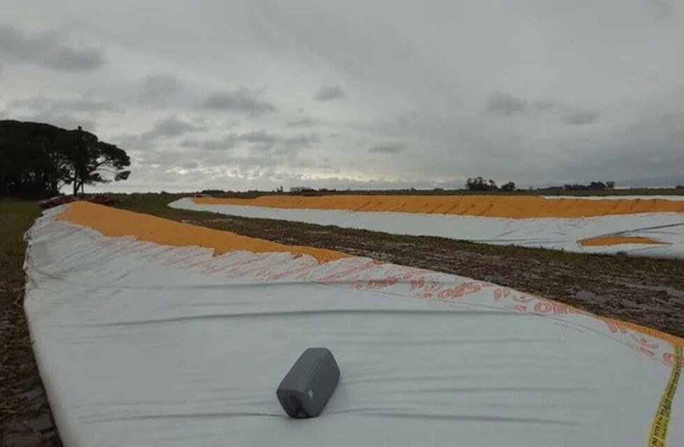 Gobierno de Santa Fe sale a contradecir el número de denuncias de rotura de silobolsas