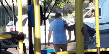 El gran gesto de un chofer de colectivo que se volvió viral