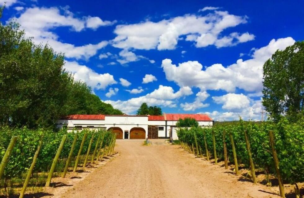 Una bodega mendocina remata su colección de autos clásicos