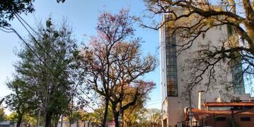 Hermoso domingo para disfrutar al aire libre