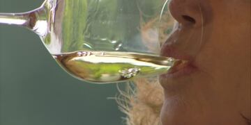 Degustación de vino blanco\u002E (Web)