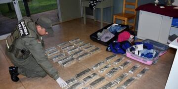 Contrabando de marihuana\u002E