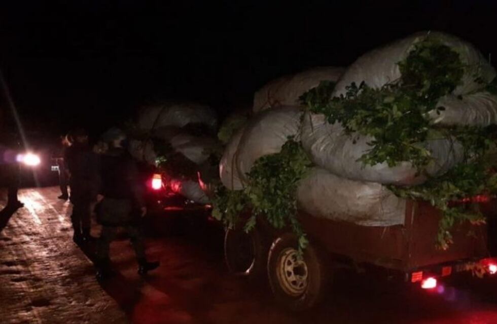Transportaban yerba mate sin aval y fueron retenidos