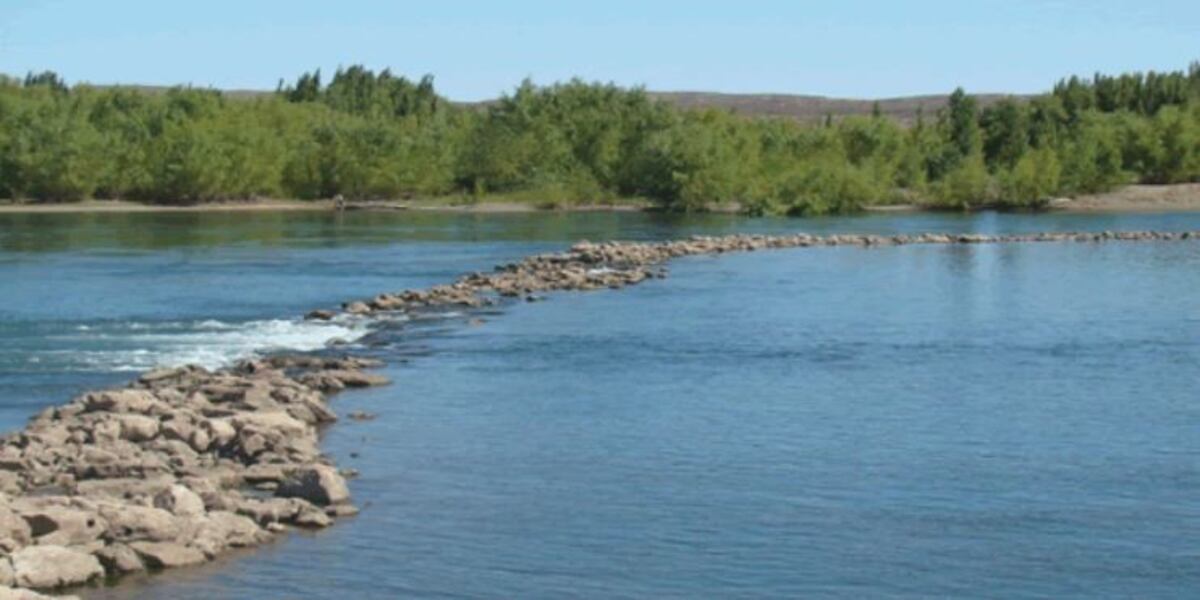 Balneario Río Limay (Foto: web)