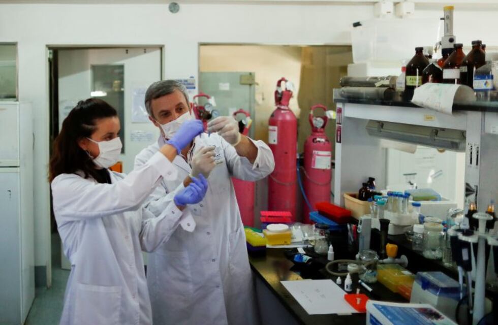 Nano anticuerpos vs. COVID