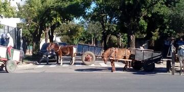Protesta de carreros en Corrientes\u002E (Foto: Corrientes Hoy)