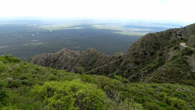 El animal fue rescatado de una escuela ubicada en el paraje El Mirador.