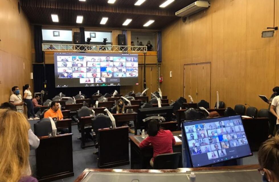 Hoy sesionan con Zoom en la Legislatura provincial para tratar la emergencia económica