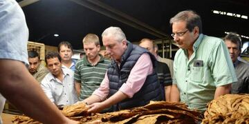 El gobernador Passalacqua durante una muestra tabacalera en Leandro N\u002E Alem\u002E (MisionesOnline)