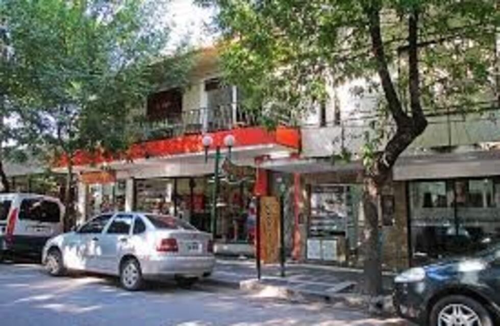 Le desvalijaron el interior del auto a un médico de Santa Rosa