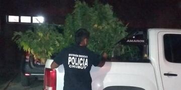 Drogas encontradas en Trevelin