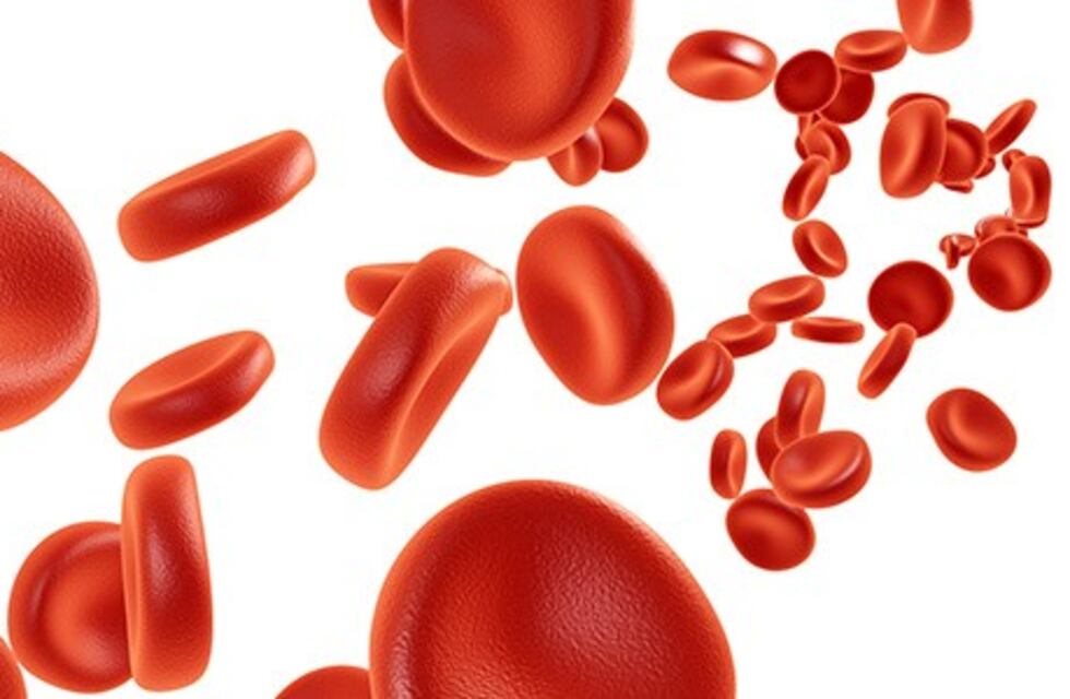 Día Mundial de la Hemofilia: encuentro para pacientes y familiares